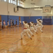 Predstavitev karateja