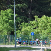 cicižur