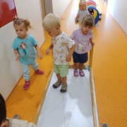 Mednarodni dan športa