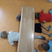 Mednarodni dan športa
