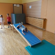 Mednarodni dan športa