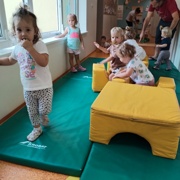 Mednarodni dan športa