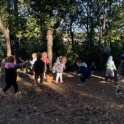 Pohod za mali sonček in obisk gozda