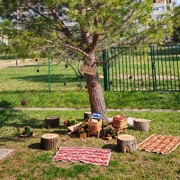 KNJIŽNICA »POD BOROM«