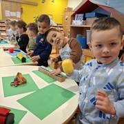 Mali instrumenti pri želvicah