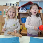 Mali instrumenti pri želvicah