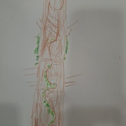 Vztrajni bršljan v našem gozdu