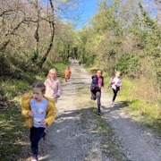 Vztrajni bršljan v našem gozdu