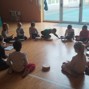 Mali instrumenti pri želvicah