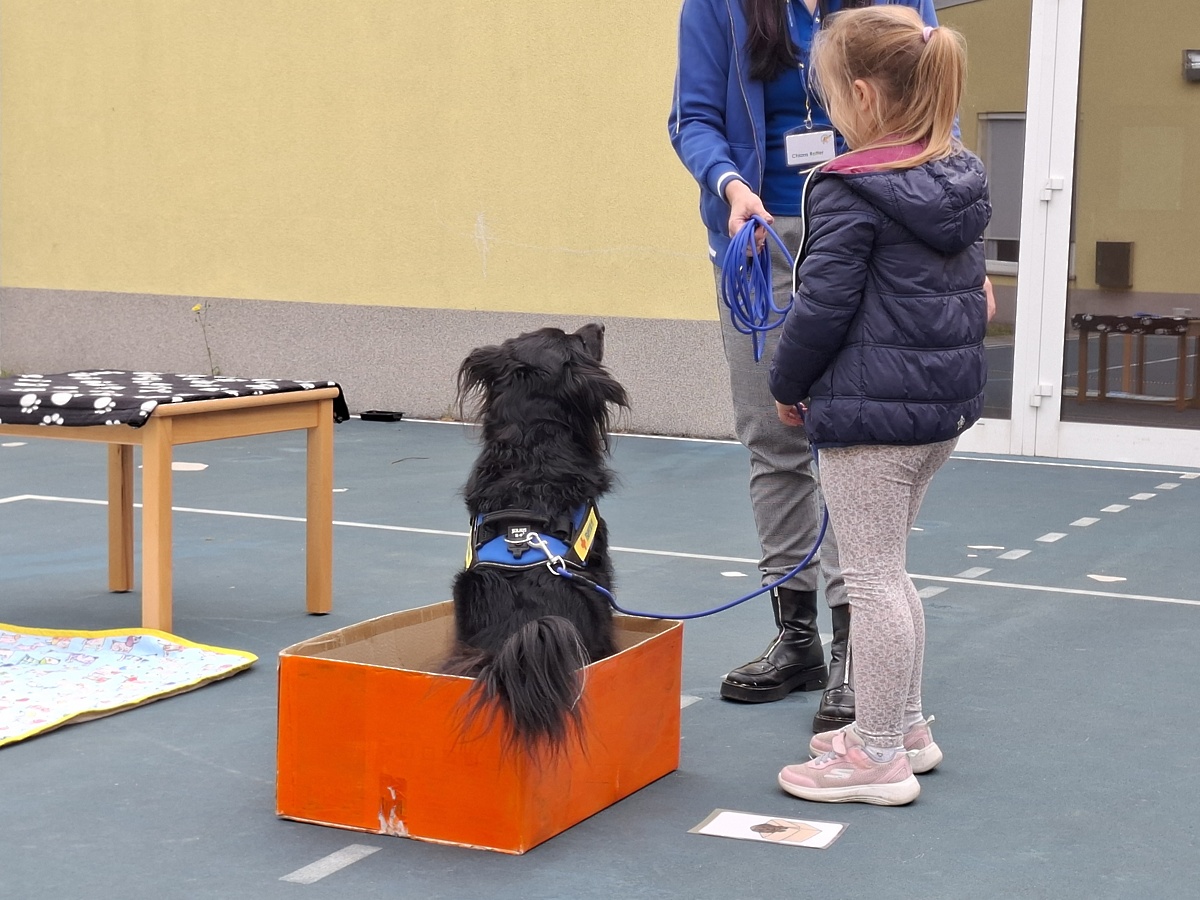 S kužkom Diom do novih znanj