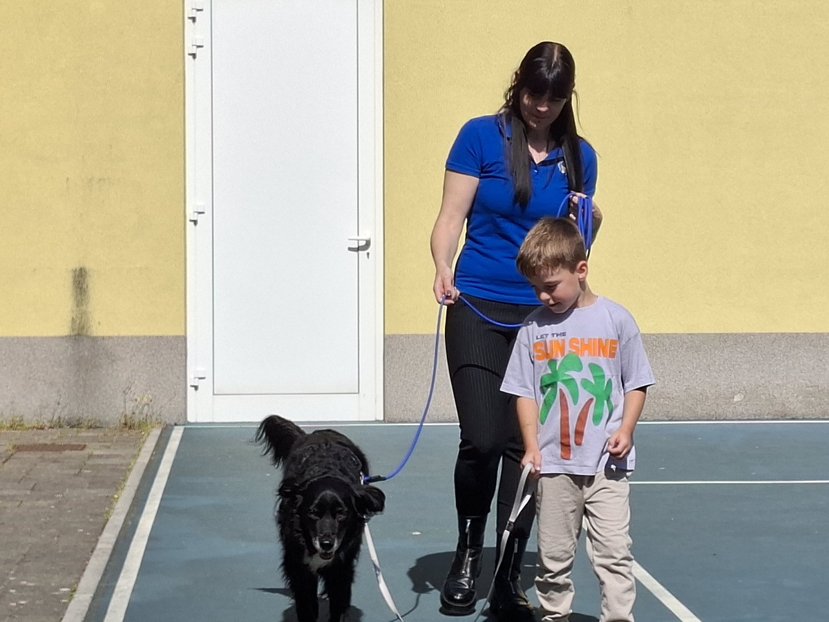 Delfini smo se učili in zabavali z Diom