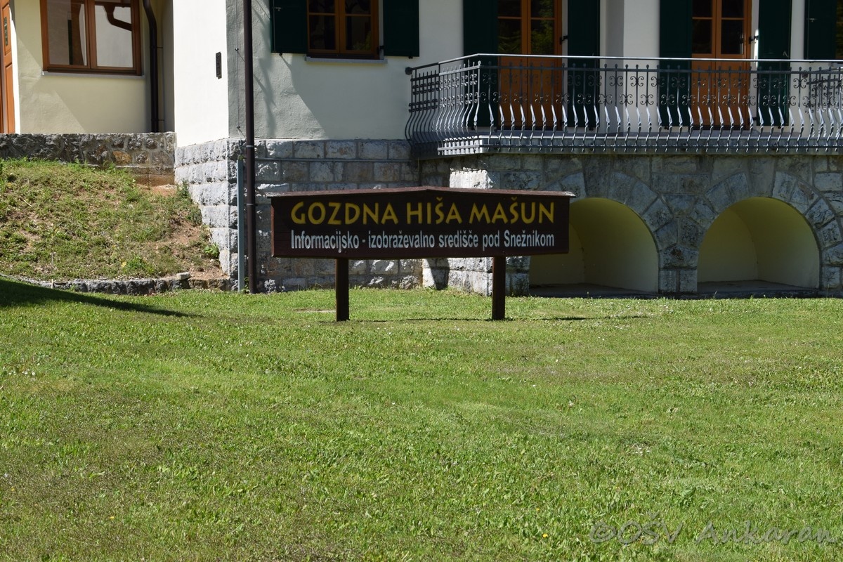 Mašun