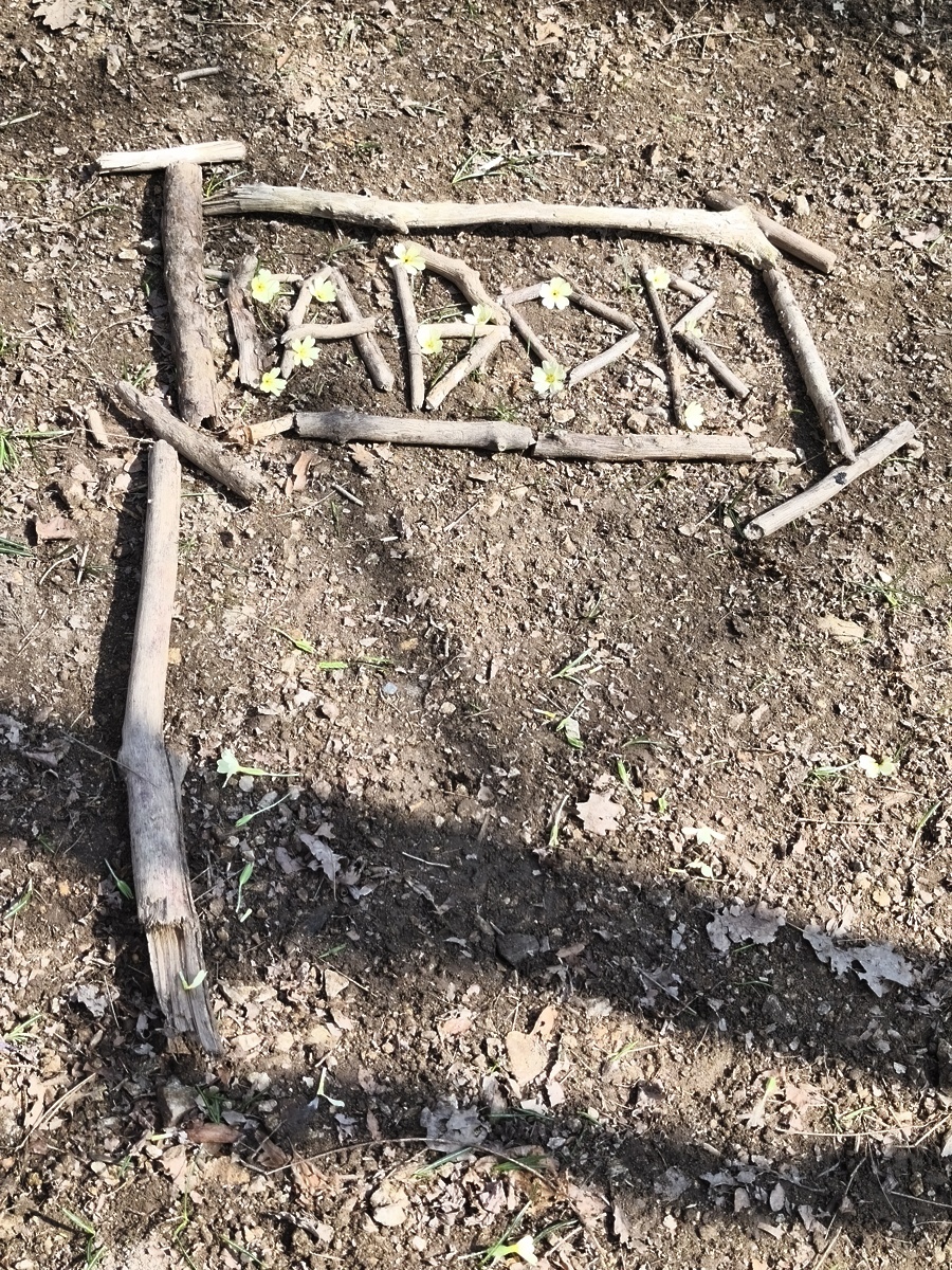 švn