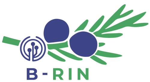 Logo B-RIN