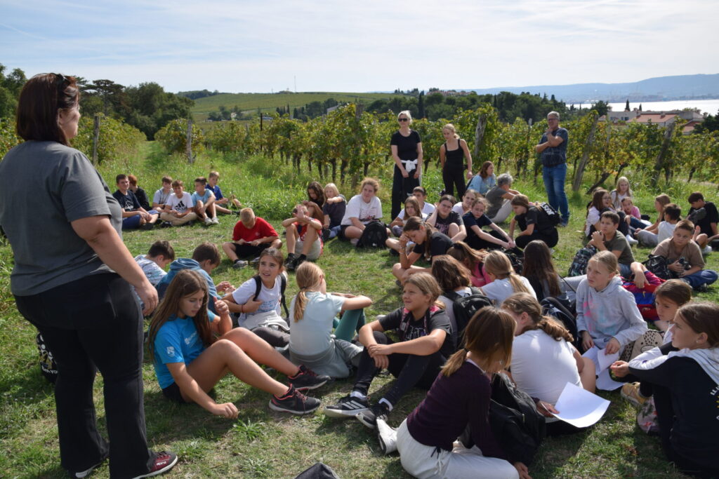 Učenci spremljajo predavanje med vinogradi.